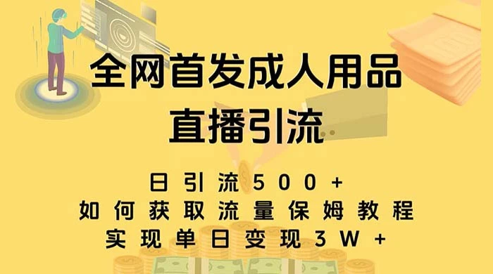 成人用品直播引流获客暴力玩法，单日引流500+，变现 3w+，保姆级教程宝哥轻创业_网络项目库_分享创业资讯_最新免费网络项目资源宝哥网创项目库