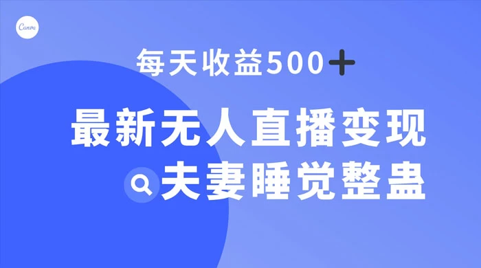 最新无人直播变现，夫妻睡觉整蛊，每天躺赚 500+宝哥轻创业_网络项目库_分享创业资讯_最新免费网络项目资源宝哥网创项目库