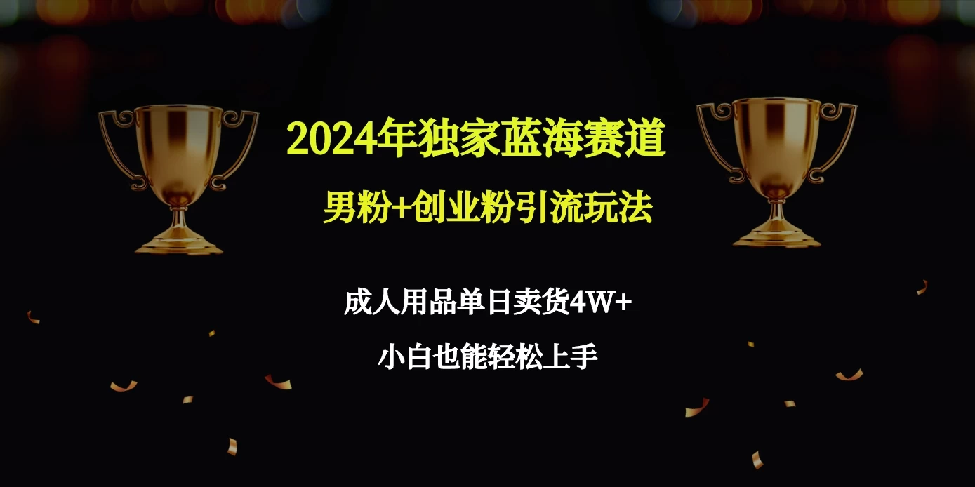 2024独家蓝海赛道，男粉＋创业粉引流玩法。宝哥轻创业_网络项目库_分享创业资讯_最新免费网络项目资源宝哥网创项目库