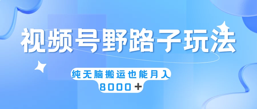 视频号野路子玩法，纯无脑搬运小白可做，月入8000+宝哥轻创业_网络项目库_分享创业资讯_最新免费网络项目资源宝哥网创项目库