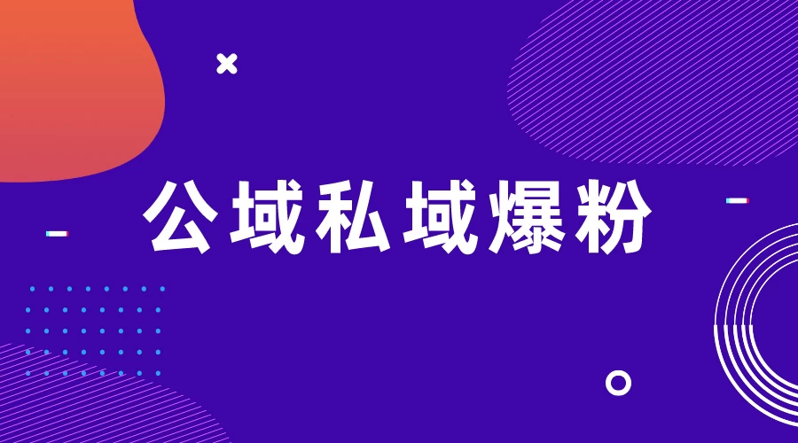 项目拆解视频制作教程从零到一，公域私域爆粉宝哥轻创业_网络项目库_分享创业资讯_最新免费网络项目资源宝哥网创项目库