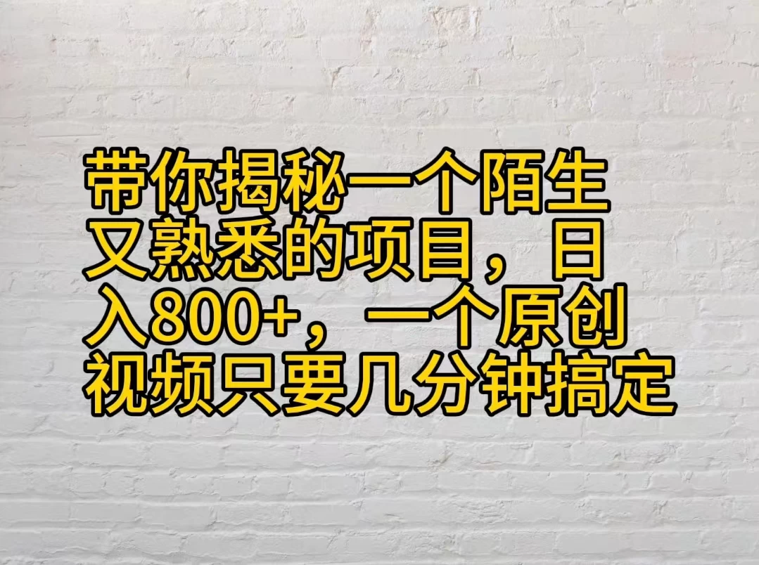 带你揭秘一个陌生又熟悉的项目，日入800+，一个原创视频只要几分钟搞定宝哥轻创业_网络项目库_分享创业资讯_最新免费网络项目资源宝哥网创项目库