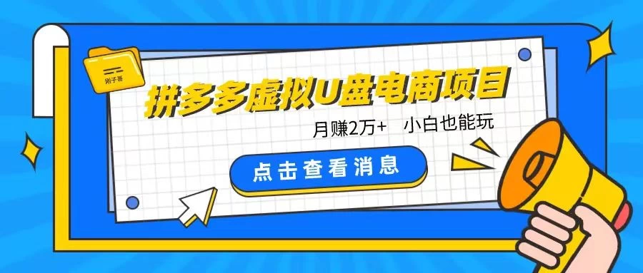 拼多多虚拟U盘电商红利项目：月赚2万+，新手小白也能玩宝哥轻创业_网络项目库_分享创业资讯_最新免费网络项目资源宝哥网创项目库