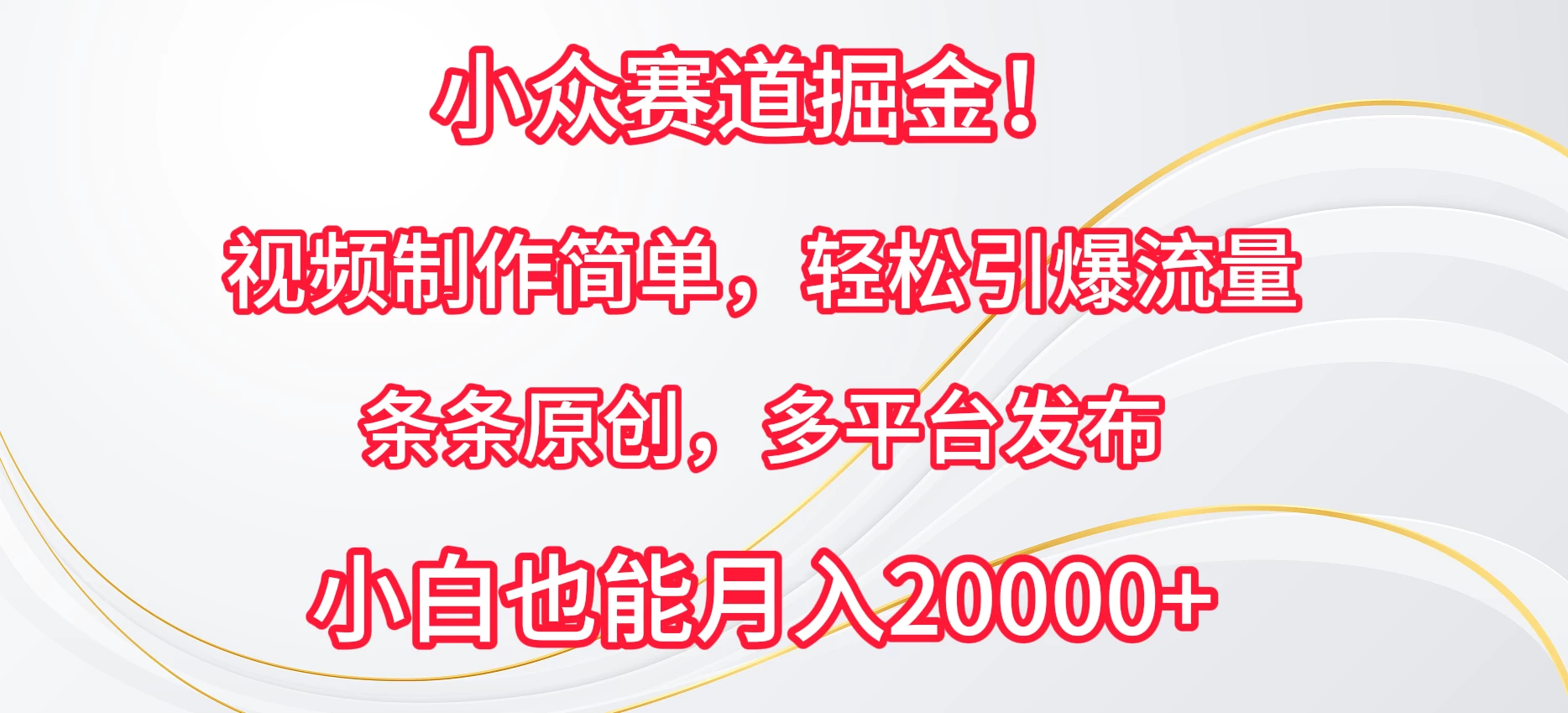 小众赛道掘金！视频制作简单，轻松引爆流量，条条原创，多平台发布，小白也能月入20000+宝哥轻创业_网络项目库_分享创业资讯_最新免费网络项目资源宝哥网创项目库