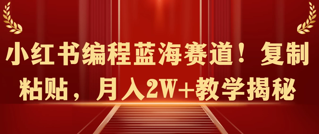 小红书编程蓝海赛道！复制粘贴，月入2W+教学揭秘宝哥轻创业_网络项目库_分享创业资讯_最新免费网络项目资源宝哥网创项目库