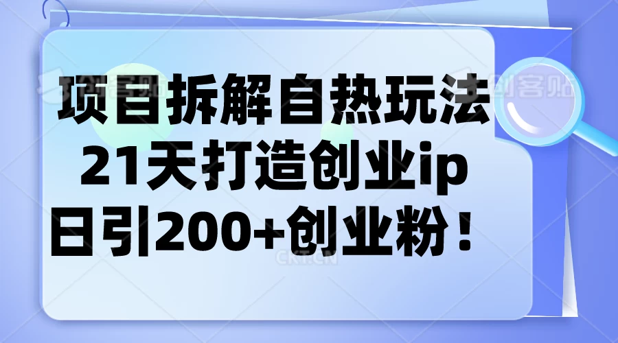 项目拆解自热玩法，21天打造创业IP，日引200+创业粉宝哥轻创业_网络项目库_分享创业资讯_最新免费网络项目资源宝哥网创项目库