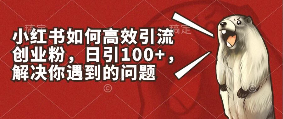 小红书如何高效引流创业粉，日引100+，解决你遇到的问题宝哥轻创业_网络项目库_分享创业资讯_最新免费网络项目资源宝哥网创项目库