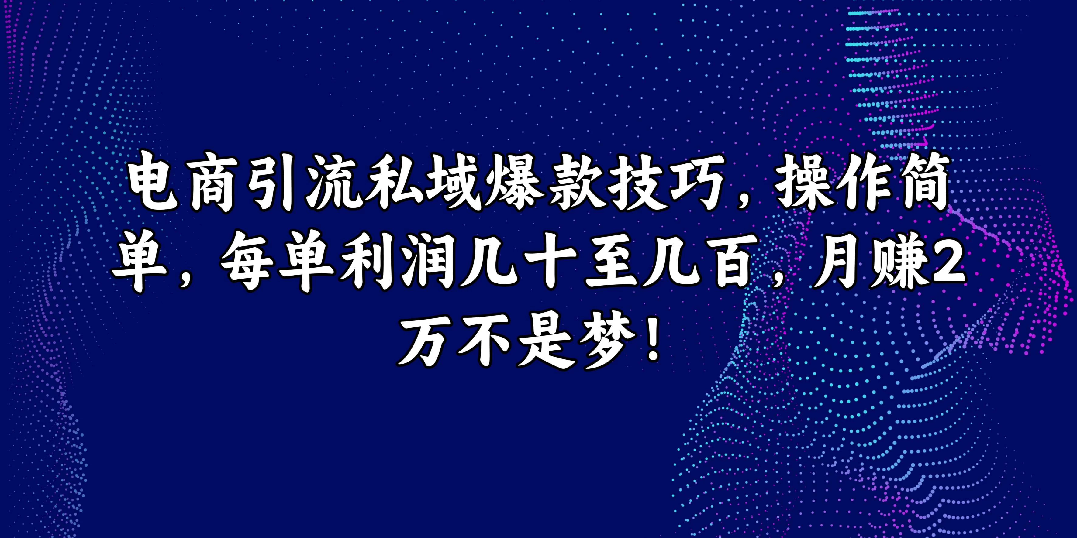 电商引流私域爆款技巧，操作简单，每单利润几十至几百，月赚2万不是梦！宝哥轻创业_网络项目库_分享创业资讯_最新免费网络项目资源宝哥网创项目库