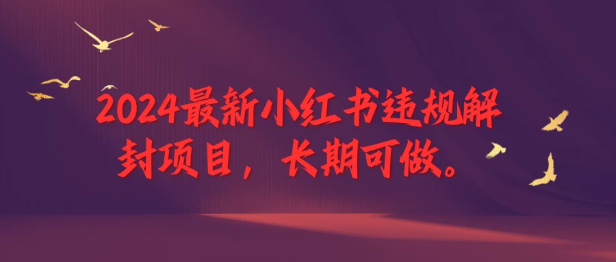 2024最新小红书违规解封项目，一个可以做到退休的项目宝哥轻创业_网络项目库_分享创业资讯_最新免费网络项目资源宝哥网创项目库