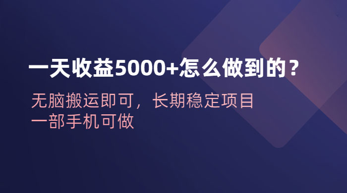 一天收益 5000+ 怎么做到的？无脑搬运即可，长期稳定项目，一部手机可做宝哥轻创业_网络项目库_分享创业资讯_最新免费网络项目资源宝哥网创项目库