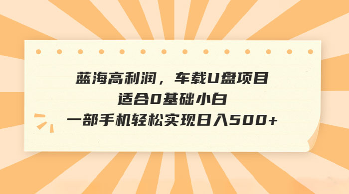 蓝海高利润，车载 U 盘项目，适合 0 基础小白宝哥轻创业_网络项目库_分享创业资讯_最新免费网络项目资源宝哥网创项目库