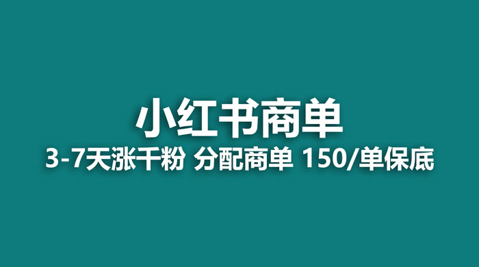 2023最强蓝海项目，小红书商单项目，没有之一宝哥轻创业_网络项目库_分享创业资讯_最新免费网络项目资源宝哥网创项目库