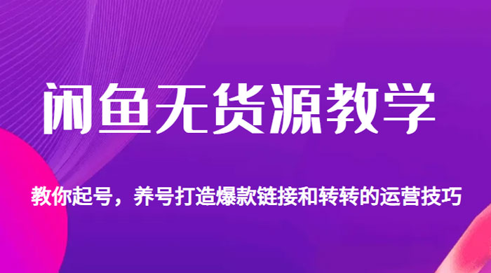 闲鱼无货源电商教学：教你起号，养号打造爆款链接以及转转的运营技巧宝哥轻创业_网络项目库_分享创业资讯_最新免费网络项目资源宝哥网创项目库