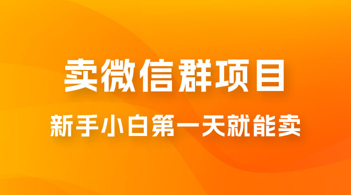 最新卖微信群项目玩法拆解：新手小白第一天就能卖，日入 300+宝哥轻创业_网络项目库_分享创业资讯_最新免费网络项目资源宝哥网创项目库