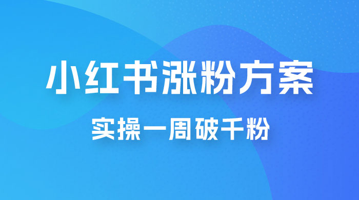 小红书爆款涨粉方案，实操一周破千粉，利用商单轻松变现，在家就能月入过万宝哥轻创业_网络项目库_分享创业资讯_最新免费网络项目资源宝哥网创项目库