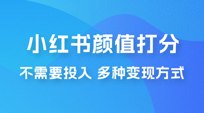 小红书颜值打分新玩法，不需要投入，适合所有人的一份副业，多种变现方式！宝哥轻创业_网络项目库_分享创业资讯_最新免费网络项目资源宝哥网创项目库