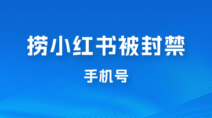 捞小红书被封禁手机号，小红书被封号禁言账号手机换绑宝哥轻创业_网络项目库_分享创业资讯_最新免费网络项目资源宝哥网创项目库