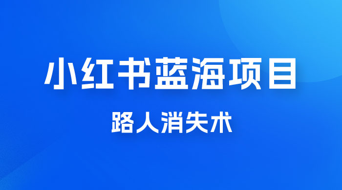 小红书蓝海项目，路人消失术，实测一天 300+宝哥轻创业_网络项目库_分享创业资讯_最新免费网络项目资源宝哥网创项目库