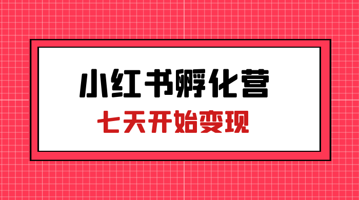 价值 2000+ 的小红书孵化营项目，超级大蓝海，七天即可开始变现，稳定月入 1W+宝哥轻创业_网络项目库_分享创业资讯_最新免费网络项目资源宝哥网创项目库