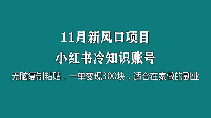 11 月新风口项目，小红书冷知识账号，无脑复制粘贴，一单变现 300 块，适合在家做的副业宝哥轻创业_网络项目库_分享创业资讯_最新免费网络项目资源宝哥网创项目库