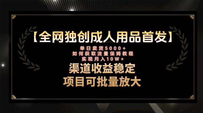 最新全网独创首发，成人用品赛道引流获客，单日卖货 5000+，月入 10w 保姆级教程宝哥轻创业_网络项目库_分享创业资讯_最新免费网络项目资源宝哥网创项目库