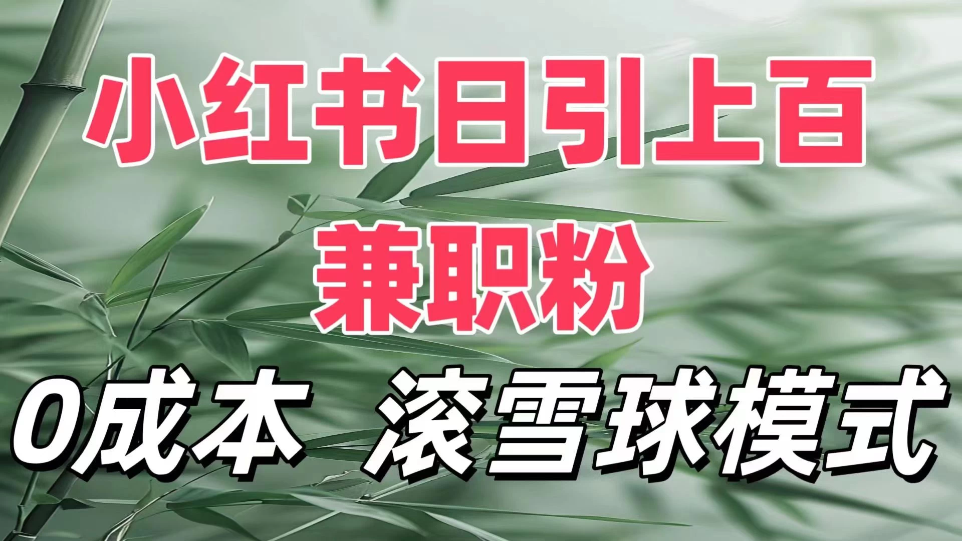 最新小红书引流自热，轻松日引上百精准宝妈创业粉，滚雪球模式，门槛低的新规则玩法宝哥轻创业_网络项目库_分享创业资讯_最新免费网络项目资源宝哥网创项目库