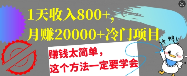 1天收入8张，月赚2w+冷门项目，赚钱太简单，这个方法一定要学会宝哥轻创业_网络项目库_分享创业资讯_最新免费网络项目资源宝哥网创项目库