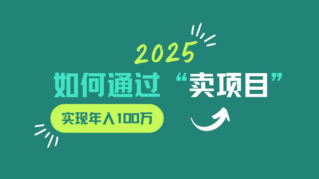 2025年如何通过“卖项目”实现年入100w 2025年如何通过“卖项目”实现年入100w
