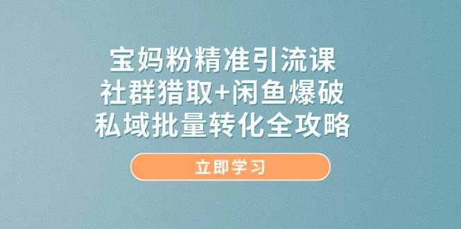宝妈粉精准引流课，社群猎取+闲鱼爆破，私域批量转化全攻略宝哥轻创业_网络项目库_分享创业资讯_最新网创免费网络项目资源宝哥网创资源项目库