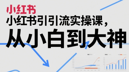 小红书精准引流课程:零基础到实战高手全攻略 小红书精准引流课程:零基础到实战高手全攻略