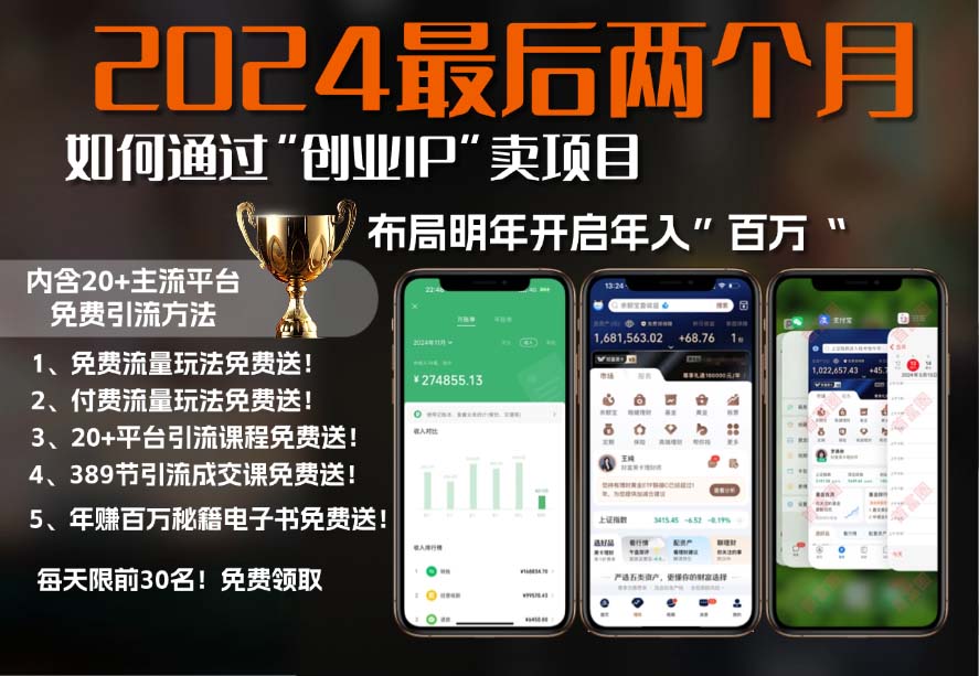 2024最后两个月如何通过”创业IP“卖项目年入”百万“,创业IP 最强引流…宝哥轻创业_网络项目库_分享创业资讯_最新免费网络项目资源宝哥网创资源项目库