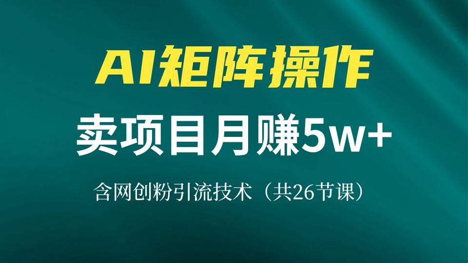 网创IP打造课，借助AI卖项目月赚5万 ，含引流技术(共26节课宝哥轻创业_网络项目库_分享创业资讯_最新免费网络项目资源宝哥网创资源项目库