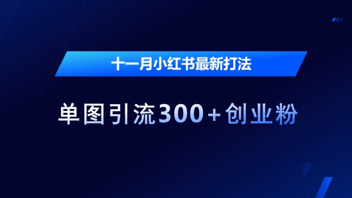 十一月小红书最新打法，单图引流300 创业粉【揭秘】宝哥轻创业_网络项目库_分享创业资讯_最新免费网络项目资源宝哥网创资源项目库