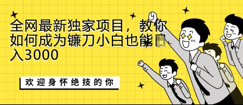 全网最新独家项目，教你如何成为镰刀小白也能日入上K宝哥轻创业_网络项目库_分享创业资讯_最新免费网络项目资源宝哥网创资源项目库