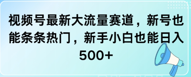 视频号最新大流量赛道，新号也能条条热门，新手小白也能日入5张宝哥轻创业_网络项目库_分享创业资讯_最新免费网络项目资源宝哥网创资源项目库