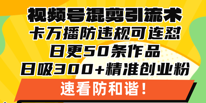视频号混剪引流技术，500万播放引流17000创业粉，操作简单当天学会宝哥轻创业_网络项目库_分享创业资讯_最新免费网络项目资源宝哥网创资源项目库