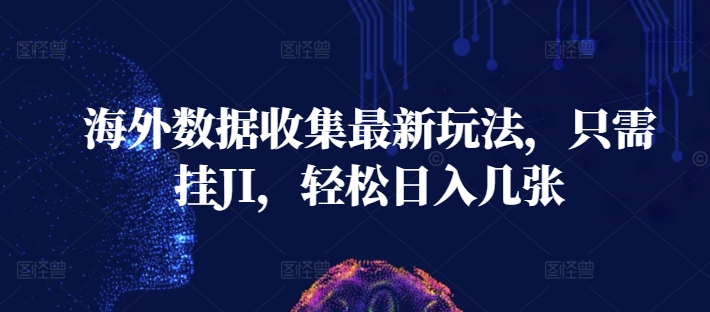 海外数据收集最新玩法，只需挂JI，轻松日入几张宝哥轻创业_网络项目库_分享创业资讯_最新免费网络项目资源宝哥网创资源项目库