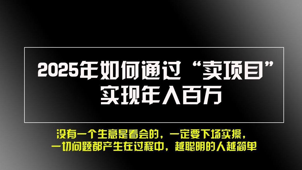 2025年如何通过“卖项目”实现年入百万宝哥轻创业_网络项目库_分享创业资讯_最新免费网络项目资源宝哥网创资源项目库