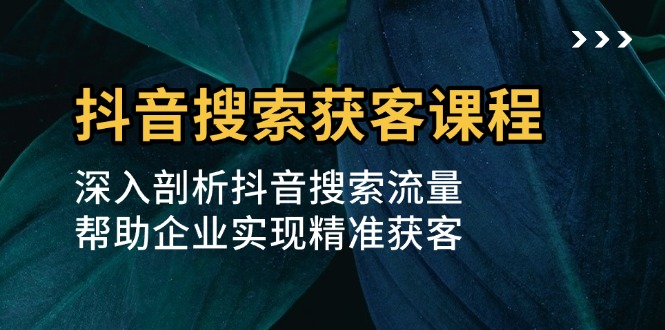 抖音搜索获客课程：深入剖析抖音搜索流量，帮助企业实现精准获客宝哥轻创业_网络项目库_分享创业资讯_最新免费网络项目资源宝哥网创资源项目库