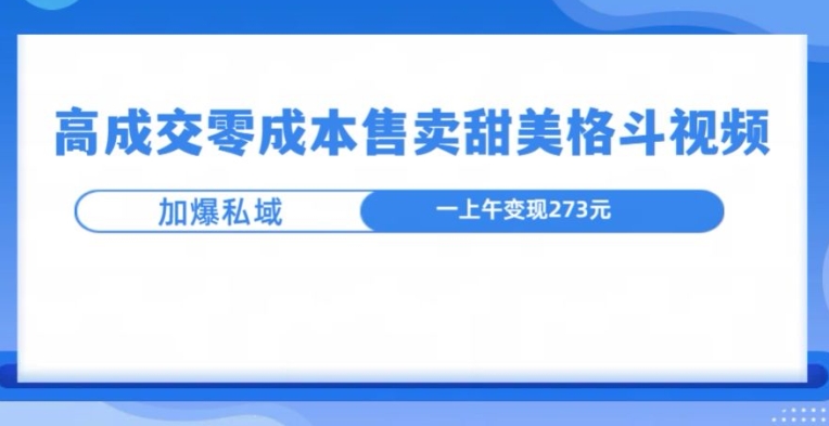高成交零成本，售卖甜妹格斗视频，可以实现日入过k宝哥轻创业_网络项目库_分享创业资讯_最新免费网络项目资源宝哥网创资源项目库