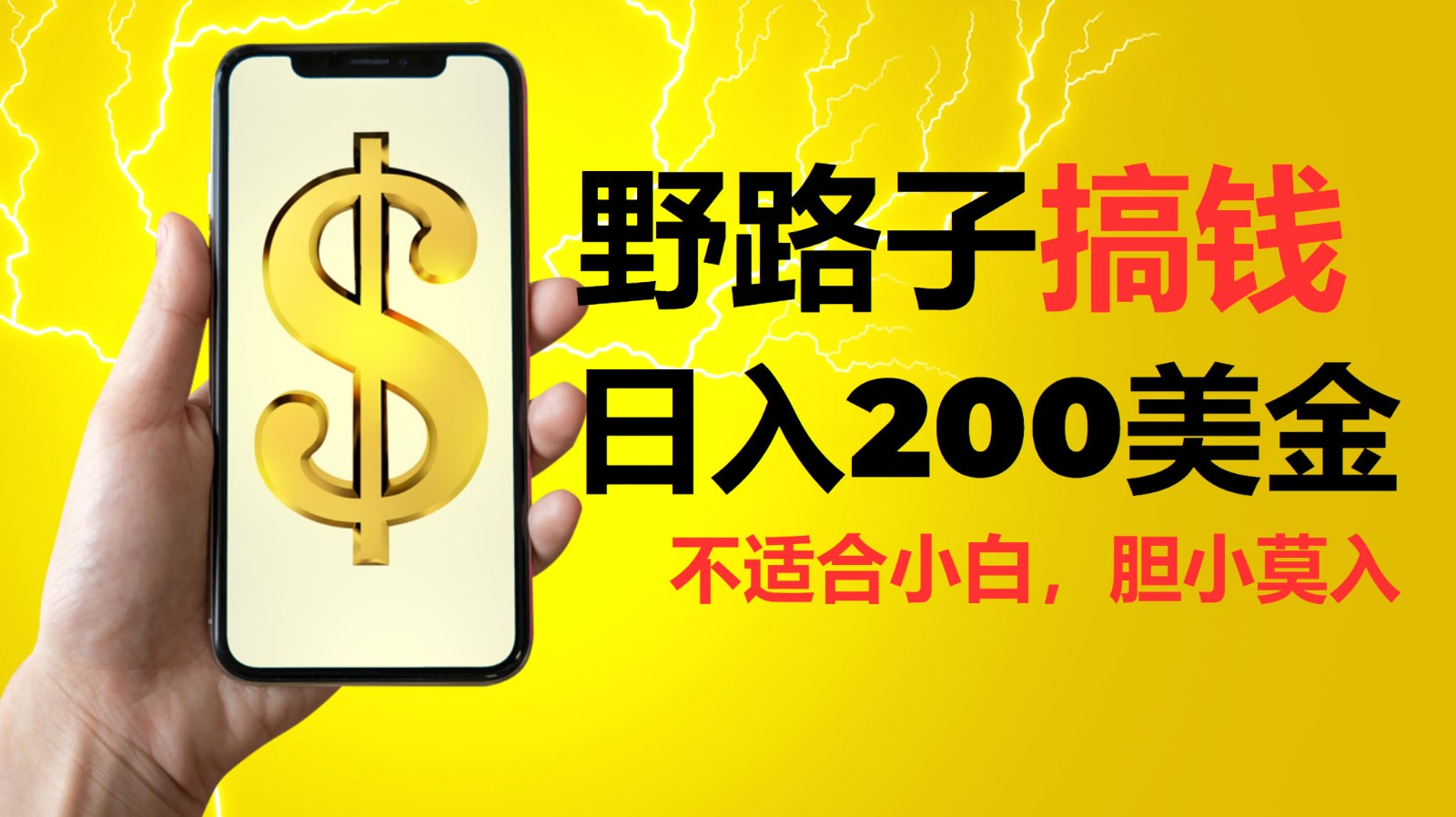 挂机野路子搞钱，日入200美金，路子很野，小白莫入宝哥轻创业_网络项目库_分享创业资讯_最新免费网络项目资源宝哥网创资源项目库