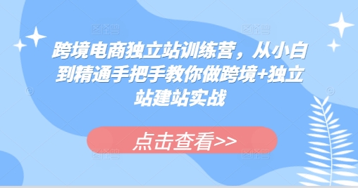 跨境电商独立站训练营，从小白到精通手把手教你做跨境 独立站建站实战宝哥轻创业_网络项目库_分享创业资讯_最新免费网络项目资源宝哥网创资源项目库