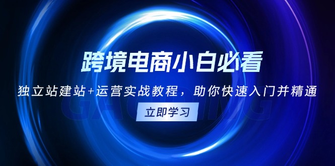 跨境电商小白必看！独立站建站 运营实战教程，助你快速入门并精通宝哥轻创业_网络项目库_分享创业资讯_最新免费网络项目资源宝哥网创资源项目库