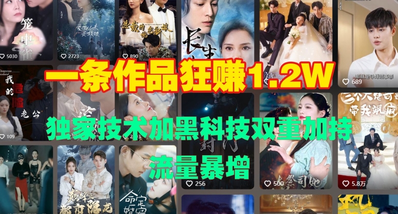 一条作品收益1.2w，独家技术加黑科技双重加持，流量暴增宝哥轻创业_网络项目库_分享创业资讯_最新免费网络项目资源宝哥网创资源项目库