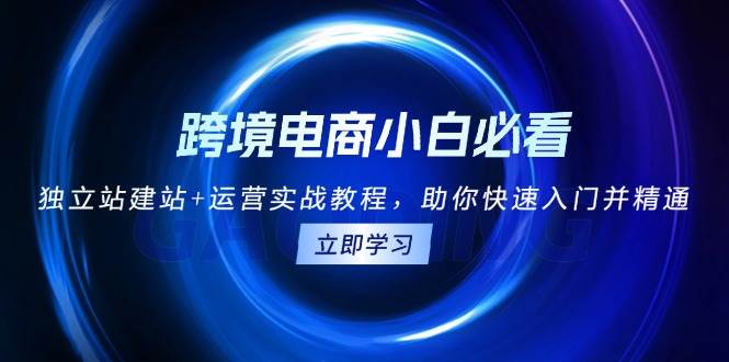 跨境电商小白必看！独立站建站 运营实战教程，助你快速入门并精通宝哥轻创业_网络项目库_分享创业资讯_最新免费网络项目资源宝哥网创资源项目库
