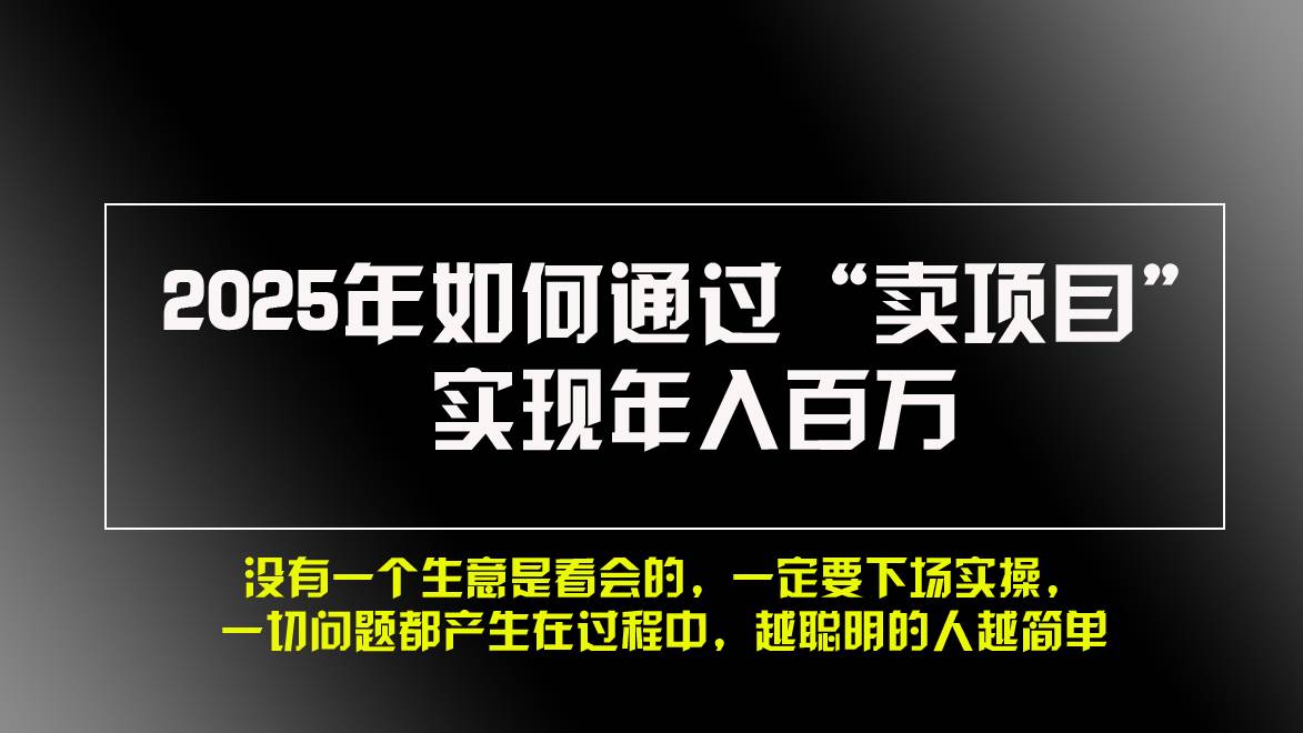 2025年如何通过“卖项目”实现年入百万，做网赚必看！！宝哥轻创业_网络项目库_分享创业资讯_最新免费网络项目资源宝哥网创资源项目库
