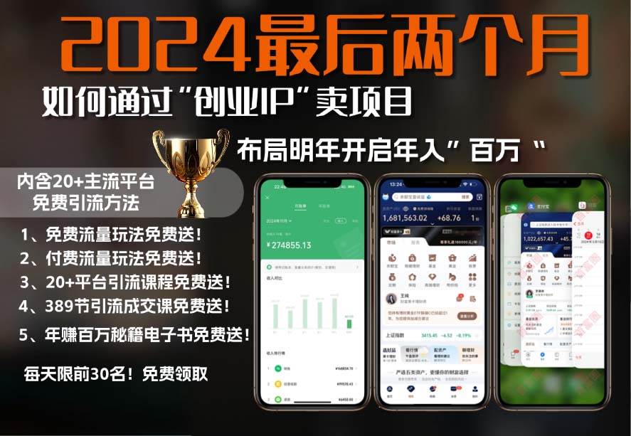 2024最后两个月如何通过”创业IP“卖项目年入”百万“,创业IP 最强引流…宝哥轻创业_网络项目库_分享创业资讯_最新免费网络项目资源宝哥网创资源项目库
