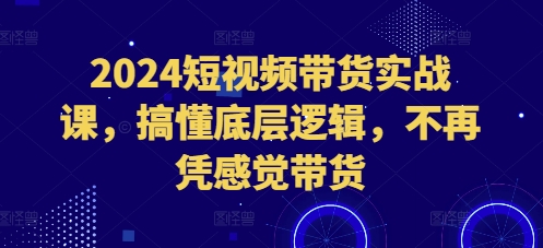2024短视频带货实战课，搞懂底层逻辑，不再凭感觉带货宝哥轻创业_网络项目库_分享创业资讯_最新免费网络项目资源宝哥网创资源项目库