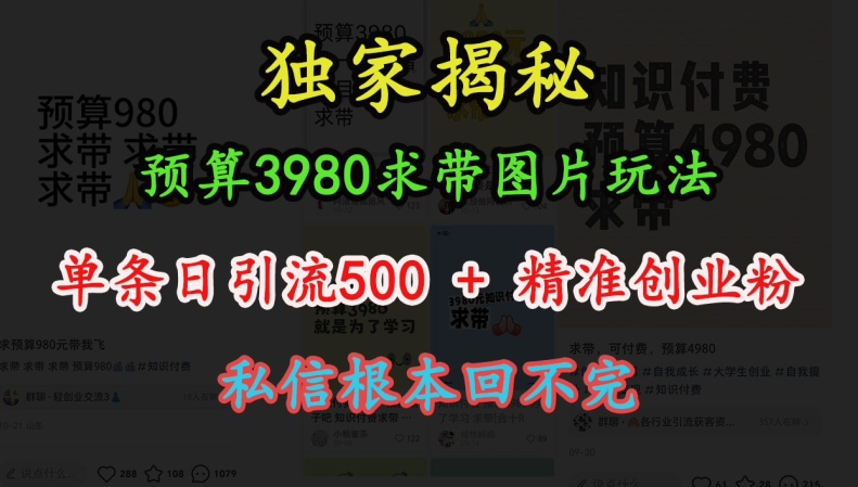 预算3980求带 图片玩法，单条日引流500 精准创业粉，私信根本回不完宝哥轻创业_网络项目库_分享创业资讯_最新免费网络项目资源宝哥网创资源项目库