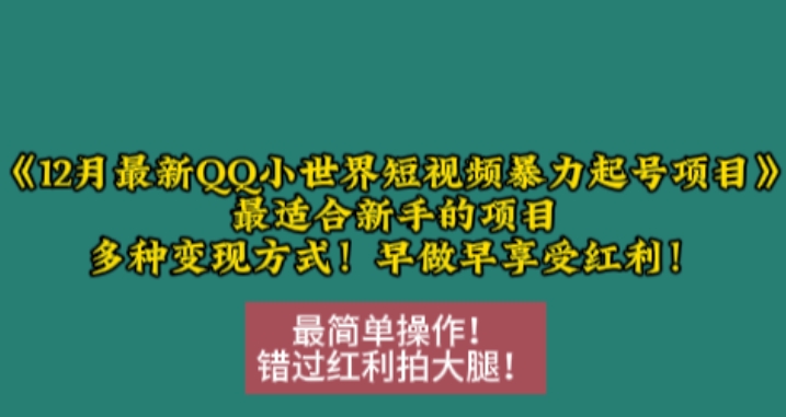 12月最新QQ小世界短视频暴力起号项目，最适合新手的项目，多种变现方式宝哥轻创业_网络项目库_分享创业资讯_最新免费网络项目资源宝哥网创资源项目库